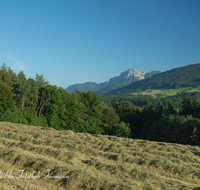 fileadmin/roha/images_galerie/orte_landschaft/Teisendorf/IN-LANDS-Teisendorf/LANDS-TEIS-SCHELMB-0001-D-roha-Landschaft-Teisendorf-Schelmberg-Heuernte-Hochstaufen.png