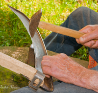 fileadmin/roha/images_galerie/Landwirtschaft/LANDW-HAND-SENS-0022-D-roha-Landwirtschaft-Handarbeit-Sense-dengeln-Hand-Hammer.png