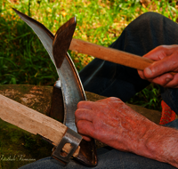 fileadmin/roha/images_galerie/Landwirtschaft/LANDW-HAND-SENS-0022-D-roha-Landwirtschaft-Handarbeit-Sense-dengeln-Hand-Hammer.png