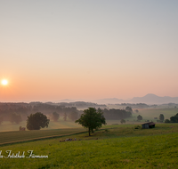 fileadmin/roha/images_galerie/stimmung-Sonne/Sonnenaufgang/SO-AU-ANG-VACH-0009-D-roha-Sonnenaufgang-Anger-Vachenlueg-Strass-Ainring.png