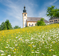 fileadmin/roha/images_galerie/orte_landschaft/Oberndorf_-_Oesterreich/ST-GEORG-SLZBG-0002-D-roha-St-Georgen-Salzburg-Kirche-Blumenwiese.png