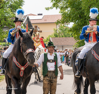 fileadmin/roha/images_galerie/brauchtum/Leonhardiritt/Holzhausen_01/Holzhausen-Ritt-2019/BR-PFRI-HOLZ-2019-1034-01-D-roha-Brauchtum-Pferdeumritt-Leonhardiritt-Holzhausen-Teisendorf-Postillon.png