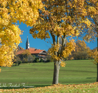 fileadmin/roha/images_galerie/orte_landschaft/Anger/Anger/AN-STEINH-ALLEE-0003-D-roha-Anger-Steinhoegl-Allee-Herbst.png