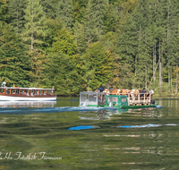 fileadmin/roha/images_galerie/brauchtum/Almabtrieb/Almabtrieb-Koenigssee/BR-ALMAB-BGD-2015-0945-02-D-roha-Brauchtum-Almabtrieb-Koenigssee-Salet-Schoenau-Boot-Landauer.png