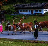 fileadmin/roha/images_galerie/brauchtum/Almabtrieb/Almabtrieb-Wasserfallalm/BR-ALMAB-BGD-OB-SLUZ-00124-D-roha-Almabtrieb-Berchtesgaden-Wasserfallalm-Obersulzberglehen-Fuikl-Senner.png