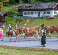 fileadmin/roha/images_galerie/brauchtum/Almabtrieb/Almabtrieb-Wasserfallalm/BR-ALMAB-BGD-OB-SLUZ-00124-D-roha-Almabtrieb-Berchtesgaden-Wasserfallalm-Obersulzberglehen-Fuikl-Senner.png