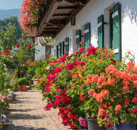 fileadmin/roha/images_galerie/orte_landschaft/Teisendorf/Oberteisendorf/LANDA-BLUMENSCHM-OBERTD-0016-D-roha-Landart-Blumenschmuck-Oberteisendorf-Geranien.png