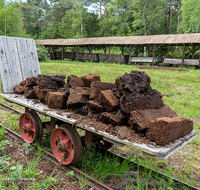 fileadmin/roha/images_galerie/orte_landschaft/Ainring/AINR-MOOR-0002-6-D-roha-Ainring-Moor-Torf-Torfstich-Torfabbau-Lore-Boggerlbahn.png