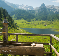 fileadmin/roha/images_galerie/orte_landschaft/Berchtesgaden/Nationalpark_Klausbachtal_Wimbachtal_-Klamm/BGD-NAT-FUNT-BR-0002-D-roha-Berchtesgaden-Nationalpark-Funtensee-Schottmalhorn-Brunnen.png