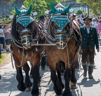 fileadmin/roha/images_galerie/brauchtum/Leonhardiritt/Holzhausen_01/Holzhausen-Ritt-2023/BR-PFRI-HOLZ-2023-1034-02-D-roha-Brauchtum-Leonhardiritt-Holzhausen-Teisendorf.png