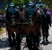 fileadmin/roha/images_galerie/brauchtum/Leonhardiritt/Holzhausen_01/Holzhausen-Ritt-2023/BR-PFRI-HOLZ-2023-1034-02-D-roha-Brauchtum-Leonhardiritt-Holzhausen-Teisendorf.png