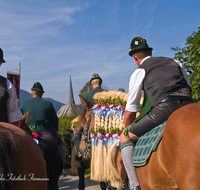 fileadmin/roha/images_galerie/brauchtum/Leonhardiritt/Inzell/BR-PFRI-INZ-0018-D-roha-Brauchtum-Pferdeumritt-Inzell-Michaeliritt-Pferd-Reiter.png