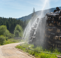 fileadmin/roha/images_galerie/Landwirtschaft/Forst-Holzknecht/HOLZKNE-FOR-0010-D-roha-Holzknecht-Teisenberg-Langholz-waessern-Kohlhaeusl.png