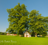 fileadmin/roha/images_galerie/kirche_religion/Teisendorf/KKKM-TEIS-KLEIN-RUECK-0004-D-roha-Kapelle-Kleinrueckstetten-Linde-Baum-Wegkreuz.png