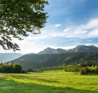 fileadmin/roha/images_galerie/Hintergrund-Download/1600x1200/LANDS-ANG-NEUH-0024-D-roha-Landschaft-Anger-Neuhaus-Hochstaufen-Bank-Kuh-Herde.png