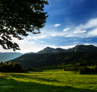 fileadmin/roha/images_galerie/Hintergrund-Download/1600x1200/LANDS-ANG-NEUH-0024-D-roha-Landschaft-Anger-Neuhaus-Hochstaufen-Bank-Kuh-Herde.png