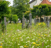 fileadmin/roha/images_galerie/orte_landschaft/Laufen/Klosterfriedhof/LAUF-KAPUZ-KI-0016-D-roha-Laufen-Kapuzinerkloster-Friedhof-Blumenwiese.png