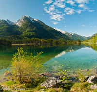 fileadmin/roha/images_galerie/orte_landschaft/Berchtesgaden/Ramsau/BGD-RA-HI-PAN-0001-D-roha-Berchtesgaden-Ramsau-Hintersee-Hochkalter-Blaueis.png