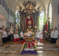 fileadmin/roha/images_galerie/brauchtum/Fronleichnam/Fronleichnam-Teisendorf/BR-FRON-TEI-KIR-0050-2015-0923-D-roha-Brauchtum-Teisendorf-Kirche-Fronleichnam-Blumenteppich.png