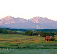 fileadmin/roha/images_galerie/orte_landschaft/Haarmoos/HAARM-0041-D-roha-Abtsdorf-Laufen-Haarmoos-Morgenstimmung-Stadel-Fruehling-Hochstaufen-Zwiesel.png