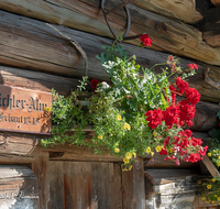 fileadmin/roha/images_galerie/orte_landschaft/Schneizlreuth/LANDA-BLUMENSCHM-SCHN-BICH-0001-D-roha-Landart-Blumenschmuck-Schneizlreuth-Bichleralm-Geranie.png