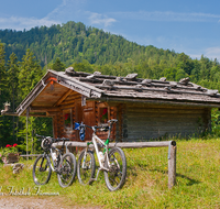 fileadmin/roha/images_galerie/orte_landschaft/Schneizlreuth/SCHNEILZL-WEISSB-R-ALM-0006-D-roha-Schneizlreuth-Weissbach-Reiteralm-Mountainbike.png