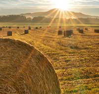 fileadmin/roha/images_galerie/Hintergrund-Download/1920x1080_-_Handy/SON-AU-SAAL-BRUEN-0001-0619-D-M-roha-Sonnenaufgang-Saaldorf-Bruennthal.png