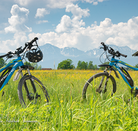 fileadmin/roha/images_galerie/Freizeit-Sport/E-Bike/SPO-E-BIKE-HAARM-0001-D-roha-Sport-E-Bike-Haarmoos-Saaldorf-Laufen-Abtsdorf-Hochstaufen-Zwiesel-Blumenwiese-Stadel.png