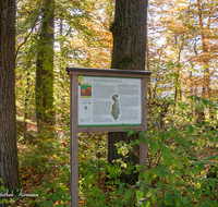 fileadmin/roha/images_galerie/orte_landschaft/Teisendorf/Geo-Park-Lehrpfad/TEI-GEOL-GAR-BE-0006-D-roha-Teisendorf-Geologischer-Garten-Findlinge-Steine-Sandstein-Beschreibung-Tafel.png