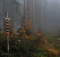 fileadmin/roha/images_galerie/wege/WEGE-AN-SONNL-0001-D-roha-Weg-Anger-Sonnleitenberg-Beschilderung.png