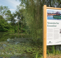 fileadmin/roha/images_galerie/Freizeit-Sport/Wandern/WIENINGER-WEG-EISWEIH-0005-D-roha-Wieninger-Bierwanderweg-Teisendorf--Eisweiher.png