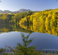 fileadmin/roha/images_galerie/Hintergrund-Download/2048x1152/AN-HOE-HERB-0007-D-roha-Anger-Hoeglwoerth-See-Hochstaufen-Zwiesel-Herbst-Wald-Spiegelung.png