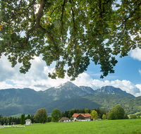 fileadmin/roha/images_galerie/orte_landschaft/Anger/Anger/AN-HOEGL-REIN-0005-D-roha-Anger-Hoegl-Reinbrecht-Hochstaufen-Zwiesel-Eiche.png