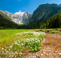 fileadmin/roha/images_galerie/wasser/BGD-SCHARITZ-0005-D-roha-Berchtesgaden-Schoenau-Scharitzkehl-Hoher-Goell-Bach-Wasser.png