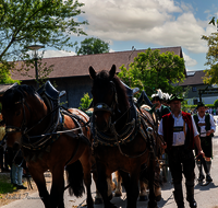 fileadmin/roha/images_galerie/brauchtum/Leonhardiritt/Holzhausen_01/Holzhausen-Ritt-2023/BR-PFRI-HOLZ-2023-1019-0-01-D-H-roha-Brauchtum-Leonhardiritt-Holzhausen-Teisendorf.png