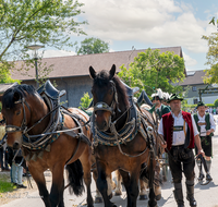 fileadmin/roha/images_galerie/brauchtum/Leonhardiritt/Holzhausen_01/Holzhausen-Ritt-2023/BR-PFRI-HOLZ-2023-1019-0-01-D-H-roha-Brauchtum-Leonhardiritt-Holzhausen-Teisendorf.png