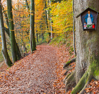 fileadmin/roha/images_galerie/kirche_religion/Anger/KKKM-ANG-HOEG-0008-D-roha-Weg-Kreuz-Anger-Hoeglwoerth-See-Wanderweg-Schutzmantel-Madonna-Herbst-Wald-Buche.png