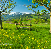 fileadmin/roha/images_galerie/Zaun-Bank/LANDS-ANG-0046-D-roha-Landschaft-Anger-Hochstaufen-Zwiesel-Hoeglwoerth-Bank.png