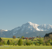 fileadmin/roha/images_galerie/orte_landschaft/Petting/LANDS-PET-0009-D-roha-Landschaft-Petting-Hochstaufen-Wimmern.png