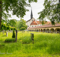 fileadmin/roha/images_galerie/orte_landschaft/Laufen/Klosterfriedhof/LAUF-KAPUZ-KI-0019-D-roha-Laufen-Kapuzinerkloster-Friedhof-Blumenwiese.png