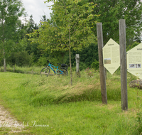 fileadmin/roha/images_galerie/orte_landschaft/Piding/PID-JOH-BIEN-0001-01-D-roha-Piding-Johannishoegl-Bienenweg-Bienenlehrpfad-E-Bike.png