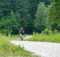 fileadmin/roha/images_galerie/Freizeit-Sport/Mountainbike-Radfahren/SPO-MOUN-ANG-KOHLH-0001-D-roha-Sport-Mountainbike-Anger-Kohlhaeusl-Teisenberg.png