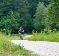 fileadmin/roha/images_galerie/Freizeit-Sport/Mountainbike-Radfahren/SPO-MOUN-ANG-KOHLH-0001-D-roha-Sport-Mountainbike-Anger-Kohlhaeusl-Teisenberg.png