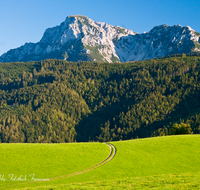 fileadmin/roha/images_galerie/orte_landschaft/Anger/Anger/Anger-Landschaft/LANDS-ANG-NEUH-0017-D-roha-Landschaft-Anger-Neuhaus-Hochstaufen-Weg.png