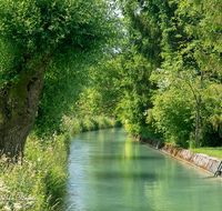 fileadmin/roha/images_galerie/orte_landschaft/Salzburg/Almkanal/SA-B-ALMK-KOPFW-0001-01-D-roha-Salzburg-Almkanal-Wasser-Kopfweide-Gneis.png