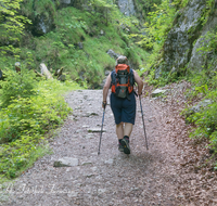 fileadmin/roha/images_galerie/Freizeit-Sport/Wandern/SCHNEILZL-WA-BA-WE-0002-D-roha-Schneizlreuth-Weissbach-Waldbahnweg-Wandern-Weg.png