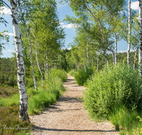 fileadmin/roha/images_galerie/wege/WEGE-SCHOEN-MOOR-0002-01-D-roha-Weg-Schoenramer-Moor-Wandern.png