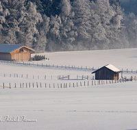 fileadmin/roha/images_galerie/Winter/WINT-TEI-UF-0001-D-roha-Winter-Teisendorf-Ufering-Stadel-Zaun-Schnee.png