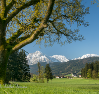 fileadmin/roha/images_galerie/orte_landschaft/Anger/Anger/AN-LANDS-0001-0-01-D-roha-Anger-Landschaft-Eiche-Fruehling-Steinhoegl-Schutzgebiet-Hochstaufen.png