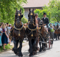 fileadmin/roha/images_galerie/brauchtum/Leonhardiritt/Holzhausen_01/BR-PFRI-HOLZ-2019-1036-01-D-roha-Brauchtum-Pferdeumritt-Leonhardiritt-Holzhausen.png